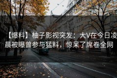 【爆料】柚子影视突发：大V在今日凌晨被曝曾参与猛料，惊呆了席卷全网