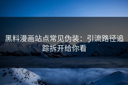 黑料漫画站点常见伪装：引流路径追踪拆开给你看