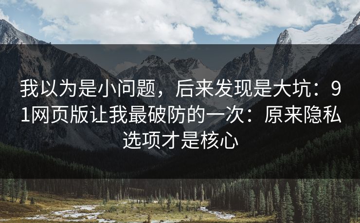 我以为是小问题，后来发现是大坑：91网页版让我最破防的一次：原来隐私选项才是核心