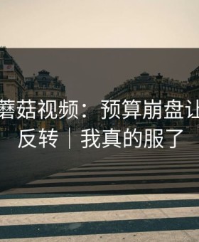 最近的蘑菇视频：预算崩盘让我结尾反转｜我真的服了