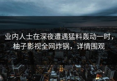 业内人士在深夜遭遇猛料轰动一时，柚子影视全网炸锅，详情围观
