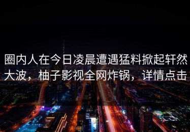 圈内人在今日凌晨遭遇猛料掀起轩然大波，柚子影视全网炸锅，详情点击