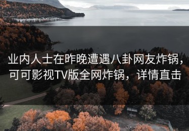 业内人士在昨晚遭遇八卦网友炸锅，可可影视TV版全网炸锅，详情直击