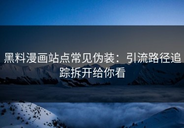 黑料漫画站点常见伪装：引流路径追踪拆开给你看