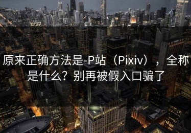 原来正确方法是-P站（Pixiv），全称是什么？别再被假入口骗了