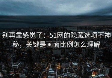 别再靠感觉了：51网的隐藏选项不神秘，关键是画面比例怎么理解