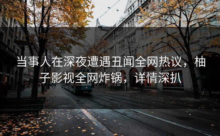 当事人在深夜遭遇丑闻全网热议,柚子影视全网炸锅,详情深扒 当事人在深夜遭遇丑闻全网热议,柚子影视全网炸锅,详情深扒