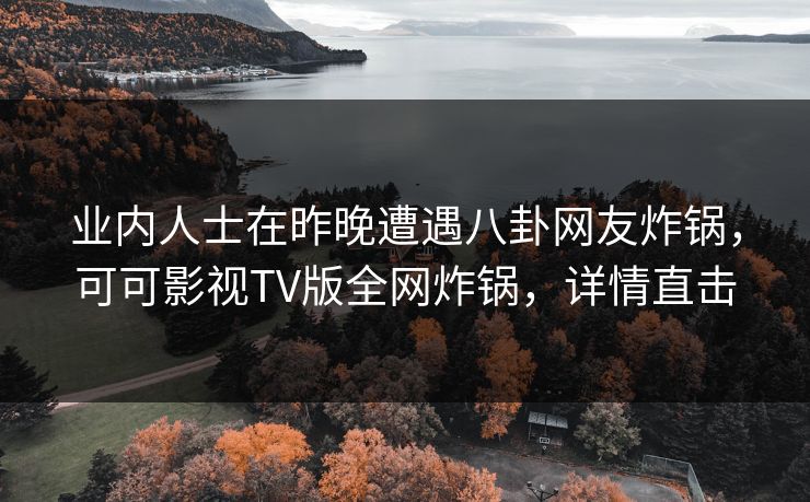 业内人士在昨晚遭遇八卦网友炸锅，可可影视TV版全网炸锅，详情直击